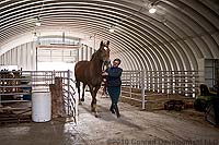 Metal Horse Stables